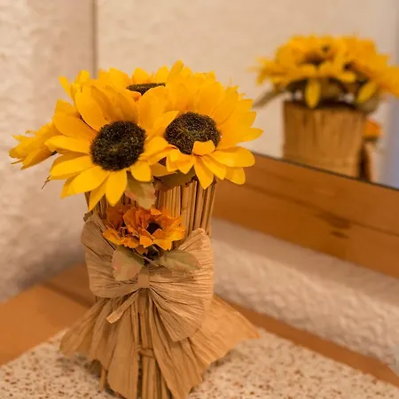 Sonnenschein