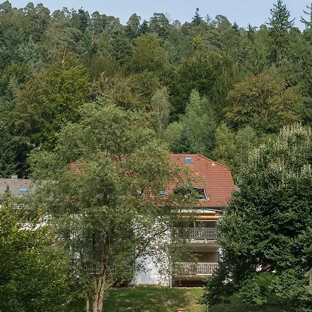 Apartment Sonnenschein Bad Herrenalb
